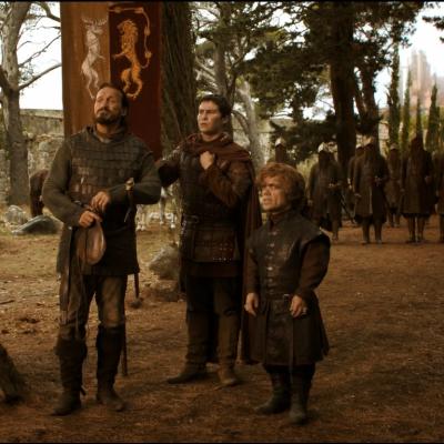 5 Kings Road Suma Bosanka